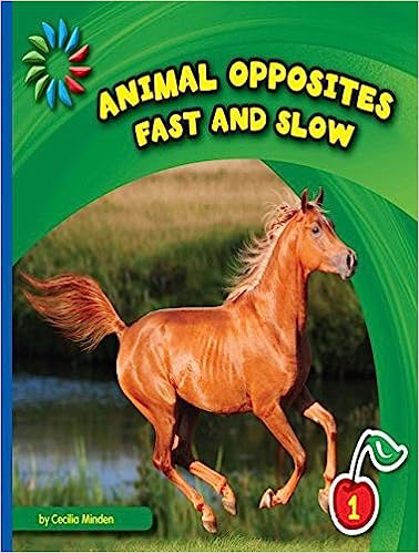 Opposites: Fast and Slow