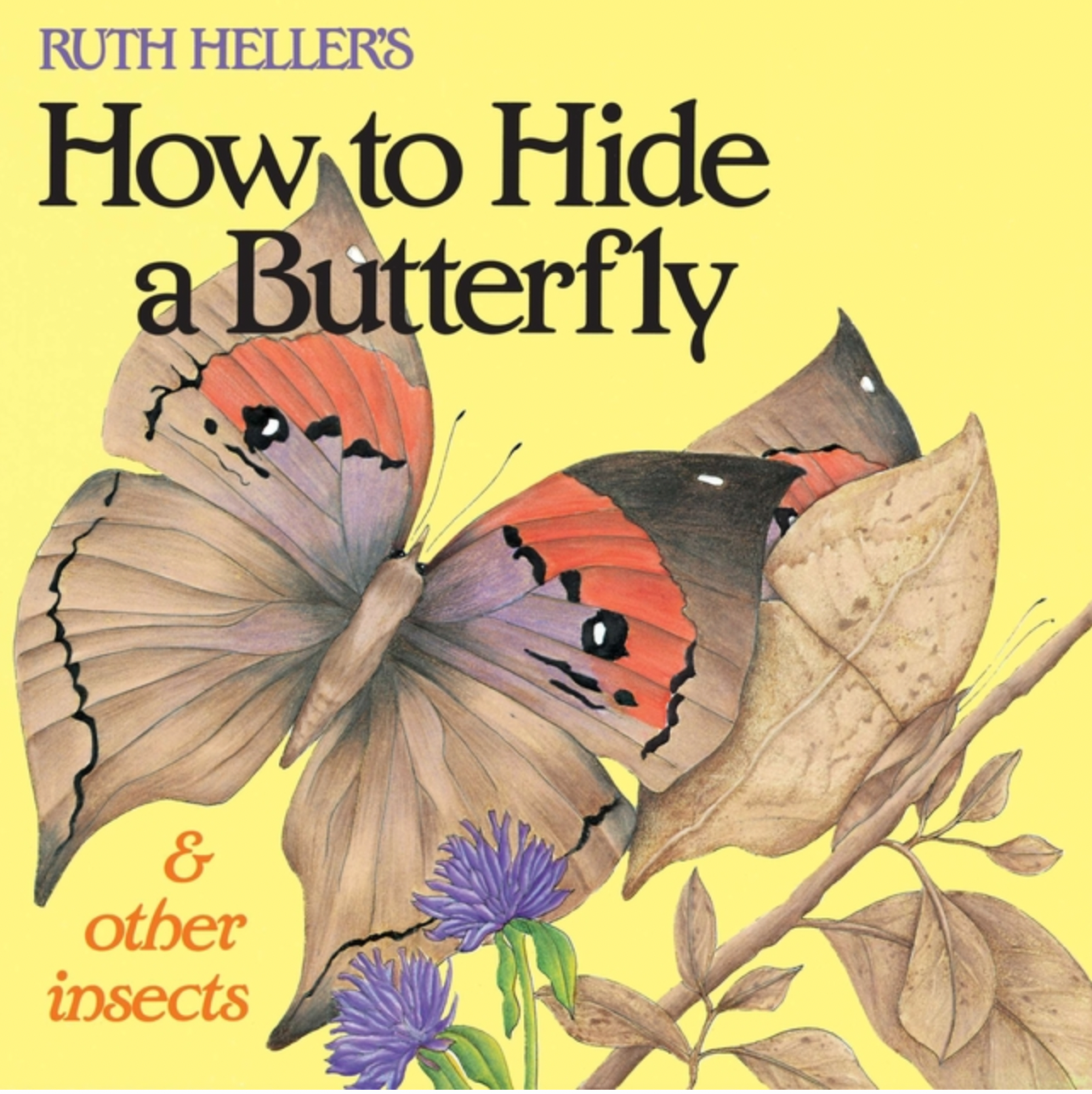 How to Hide a Butterfly and Other Insects