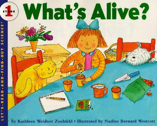 What's Alive? Rise and Shine