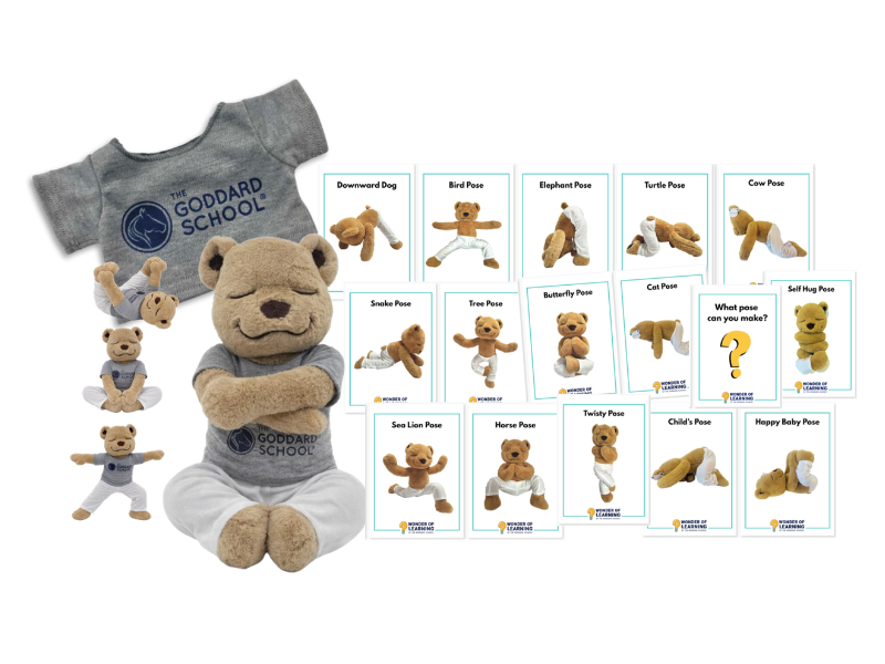 Meddy Teddy for Goddard Schools