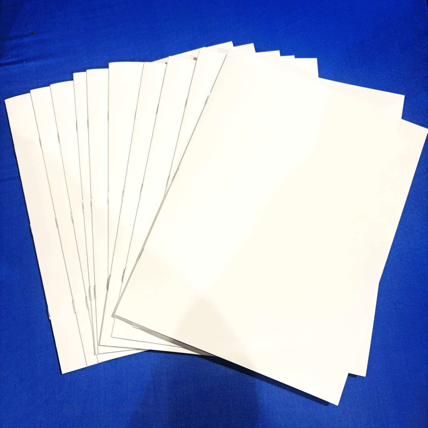 Blank Book (Pack of 10)