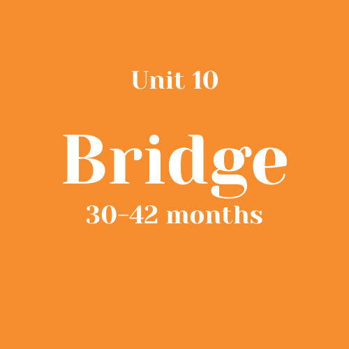 Unit 10 Bridge 30-42 months without LLL (bundle)