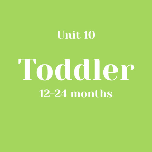 Unit 10 Toddler 12-24 months without LLL (bundle)