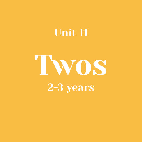 Unit 11 Twos 2-3 years without LLL (bundle)