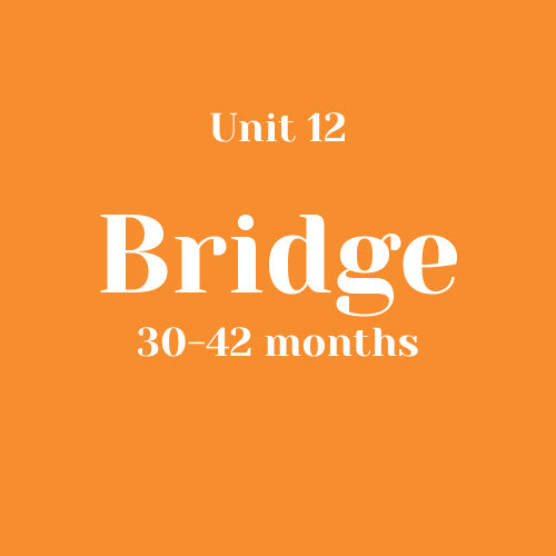 Unit 12 Bridge 30-42 months without LLL (bundle)