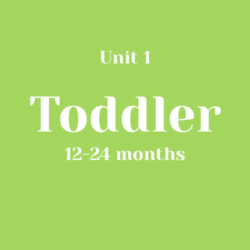Unit 1 Toddler 12-24 months without LLL (bundle)