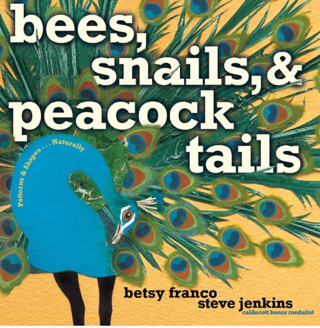Bees, Snails, and Peacock Tails: Patterns and Shapes... Naturally
