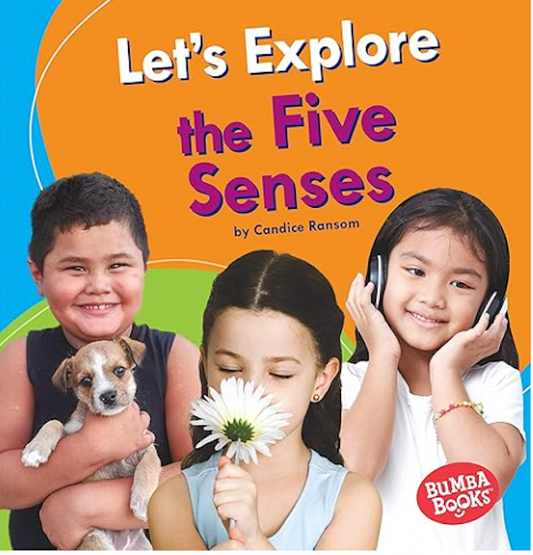 Let's Explore the Five Senses