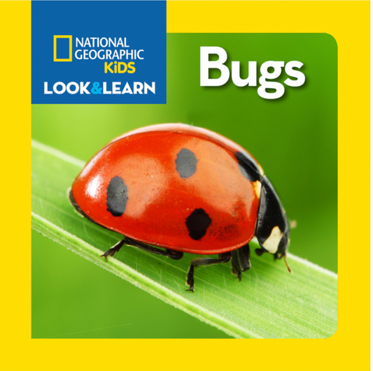 National Geographic Kids Look and Learn: Bugs!