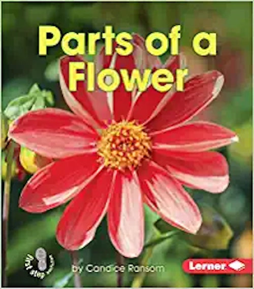 Parts of a Flower